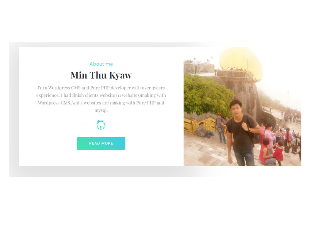 Wordpress CMS Website Development