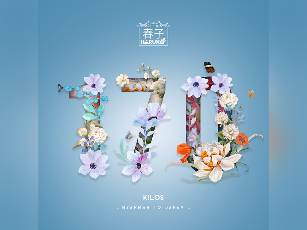 Social Media Design