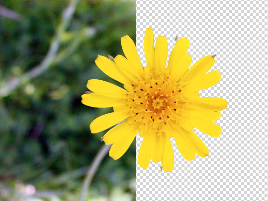 Remove or change background from your photo
